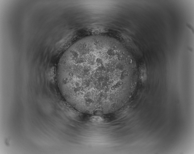 X0000101680519200807171415