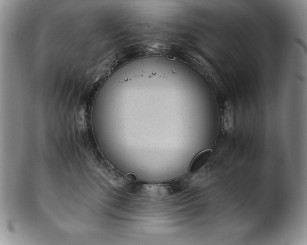 X0000101680520200807171415