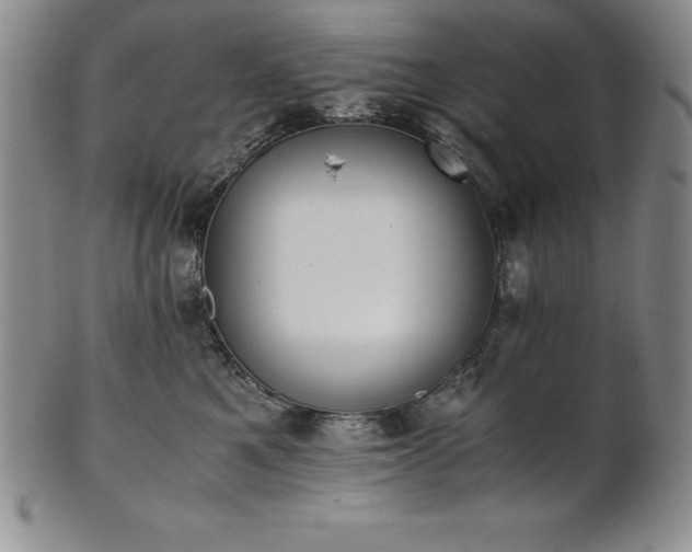 X0000101680521200807171415