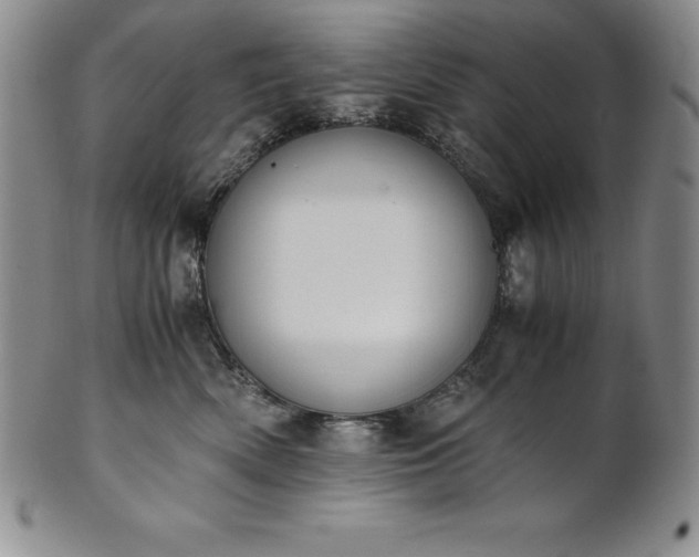 X0000101680522200807171415