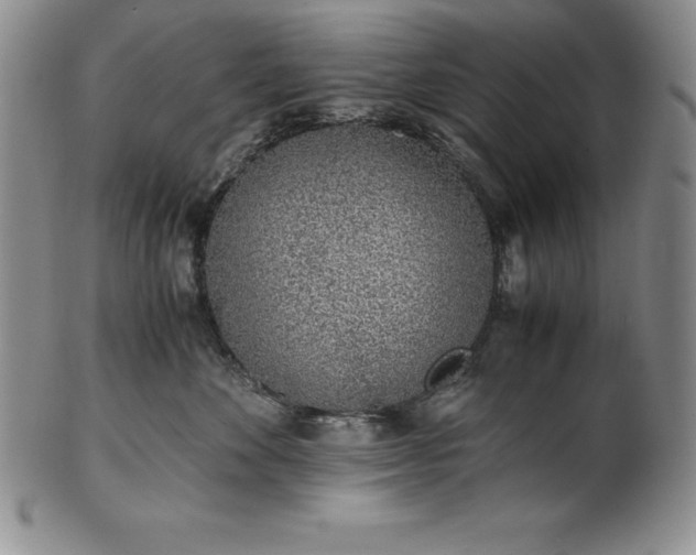 X0000101680524200807171415