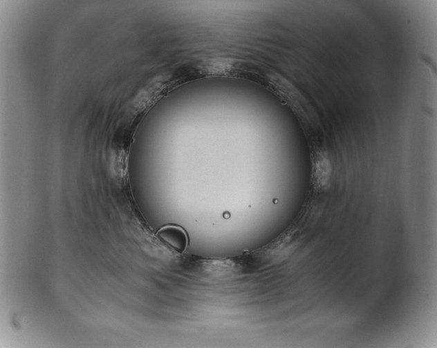 X0000101680525200807171415