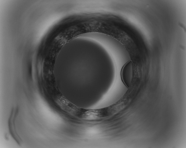 X0000101680526200807171415