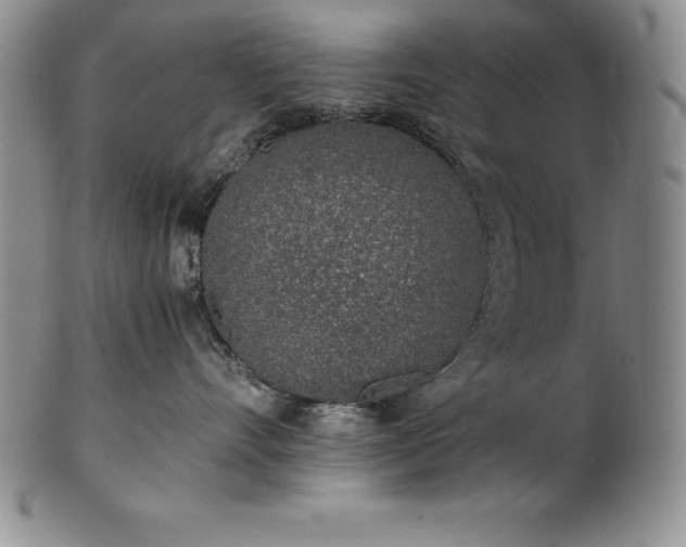 X0000101680528200807171414