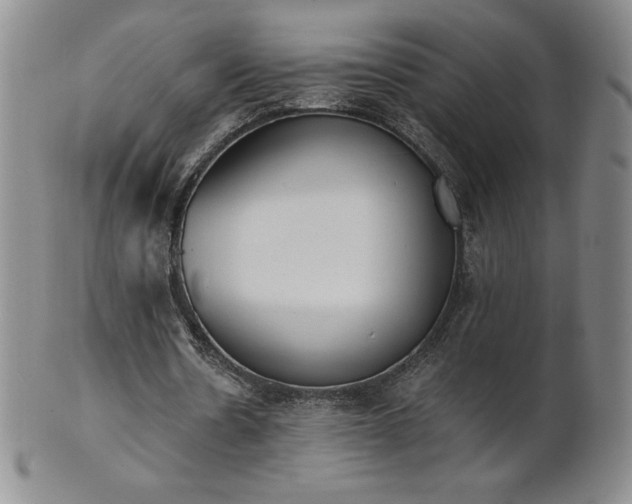 X0000101680530200807171414