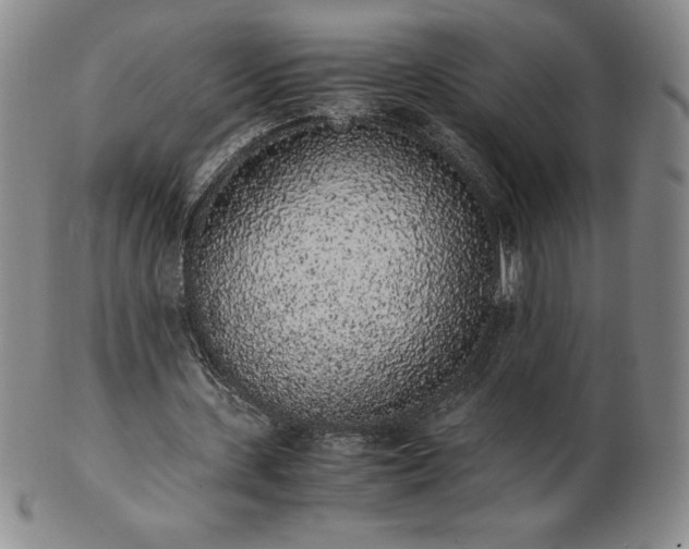 X0000101680531200807171414