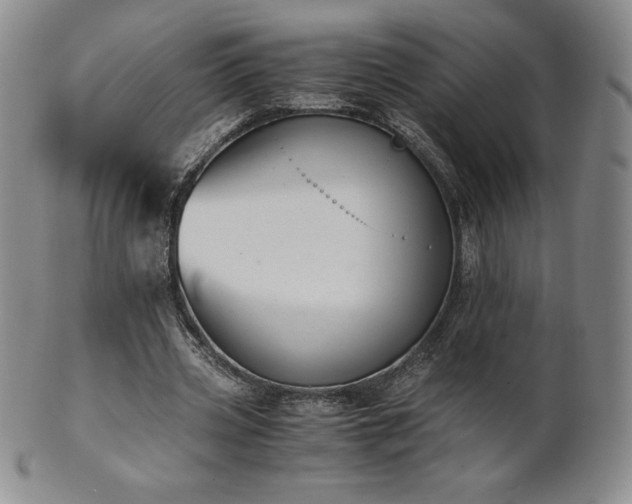 X0000101680533200807171414