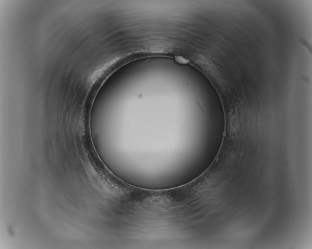 X0000101680536200807171414