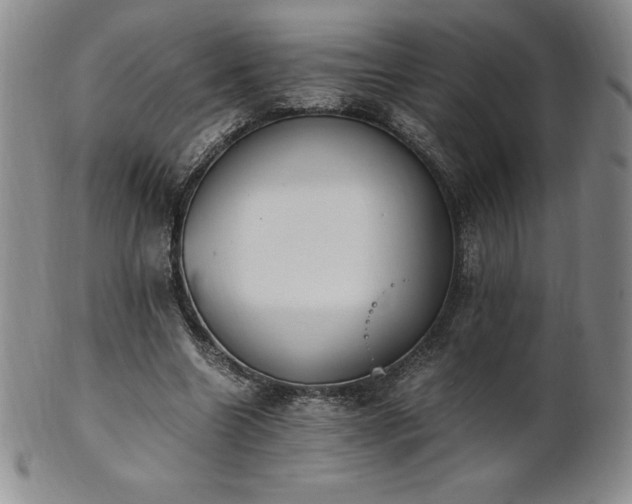 X0000101680538200807171414