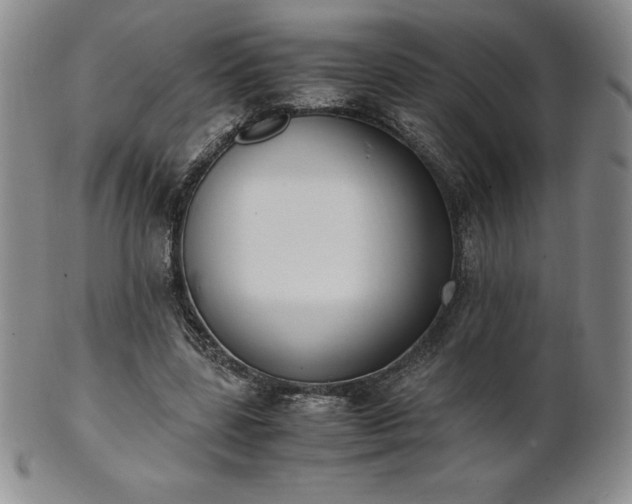 X0000101680539200807171414