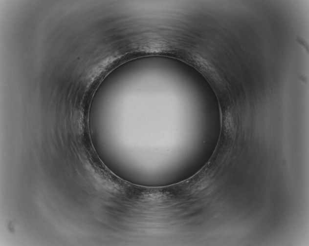 X0000101680540200807171414