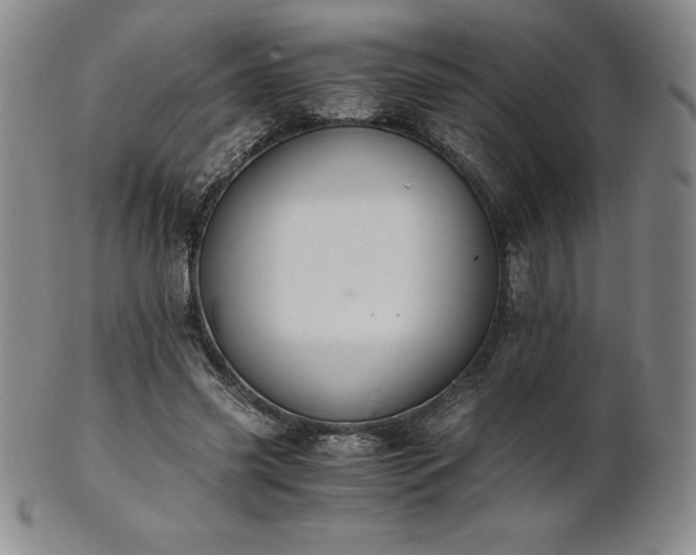 X0000101680541200807171414