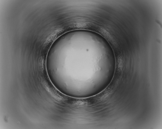 X0000101680542200807171414