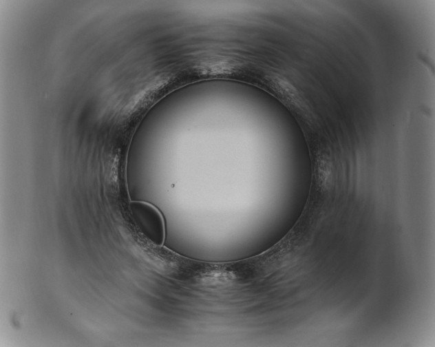 X0000101680543200807171414