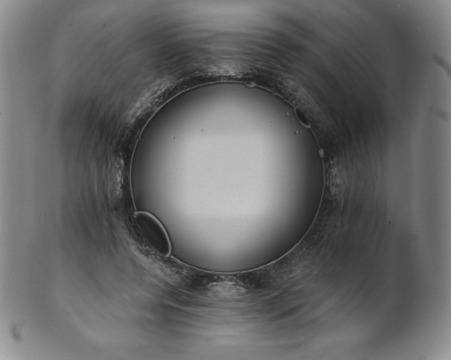 X0000101680544200807171414