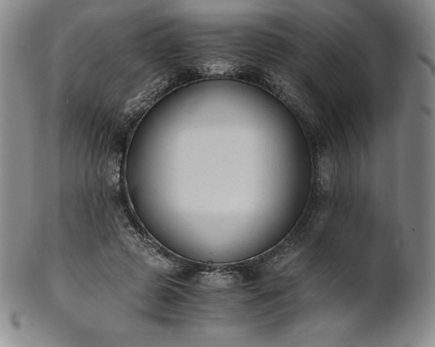 X0000101680545200807171414