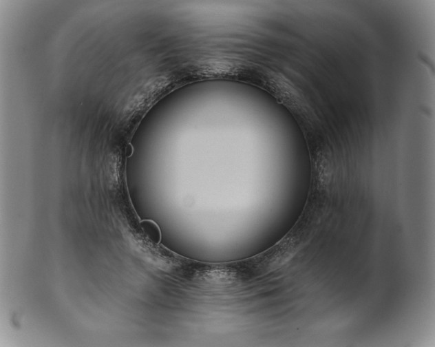 X0000101680546200807171414