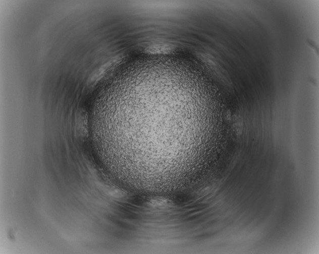 X0000101680547200807171414