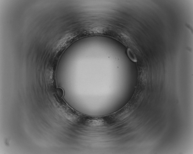 X0000101680548200807171414