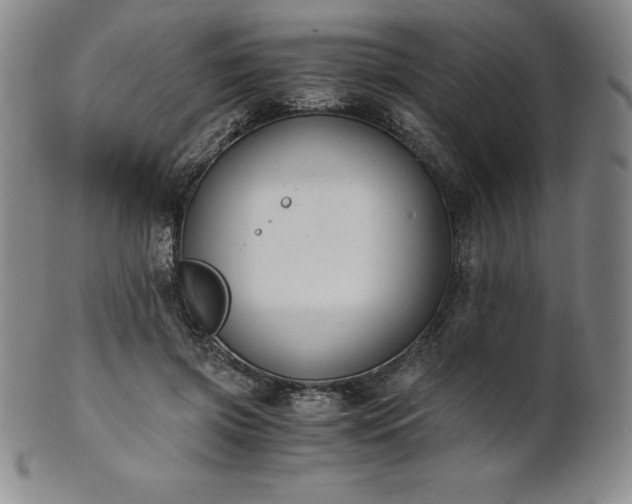 X0000101680549200807171414