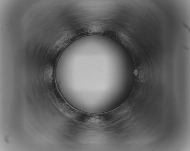 X0000101680550200807171414