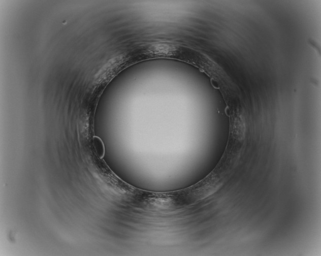 X0000101680552200807171414