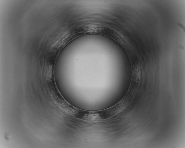 X0000101680554200807171414