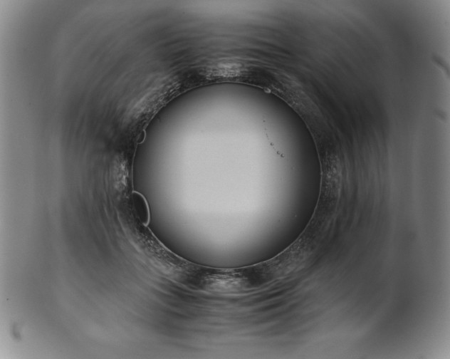 X0000101680555200807171414