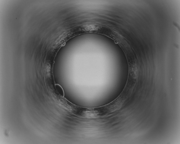 X0000101680556200807171414