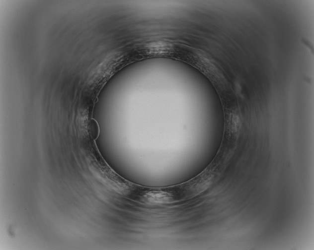 X0000101680557200807171414