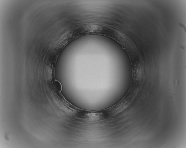 X0000101680558200807171414