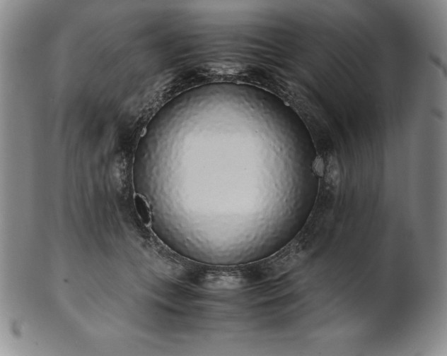 X0000101680559200807171414