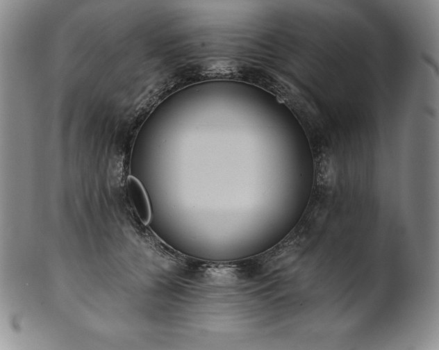 X0000101680560200807171414