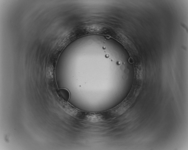 X0000101680561200807171414