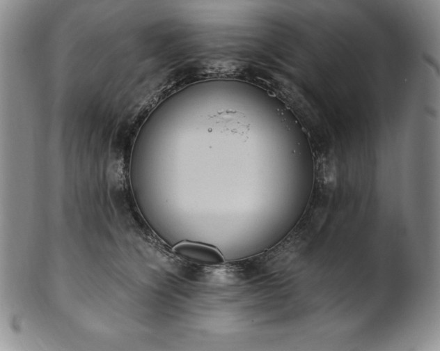 X0000101680564200807171414