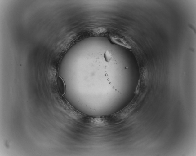 X0000101680565200807171414