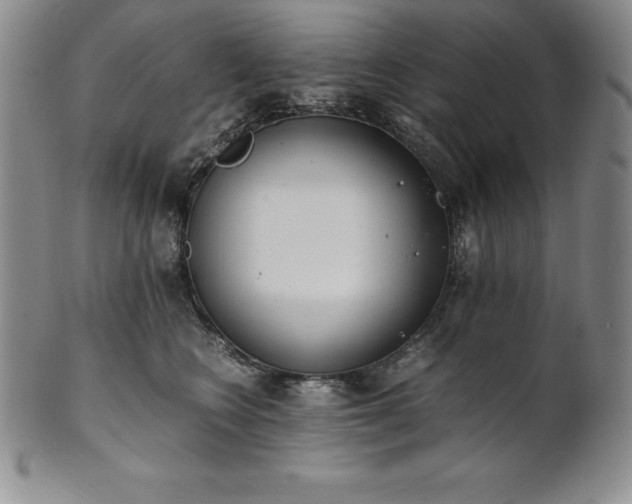 X0000101680566200807171414