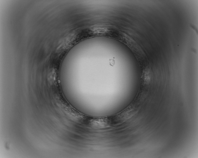 X0000101680567200807171414