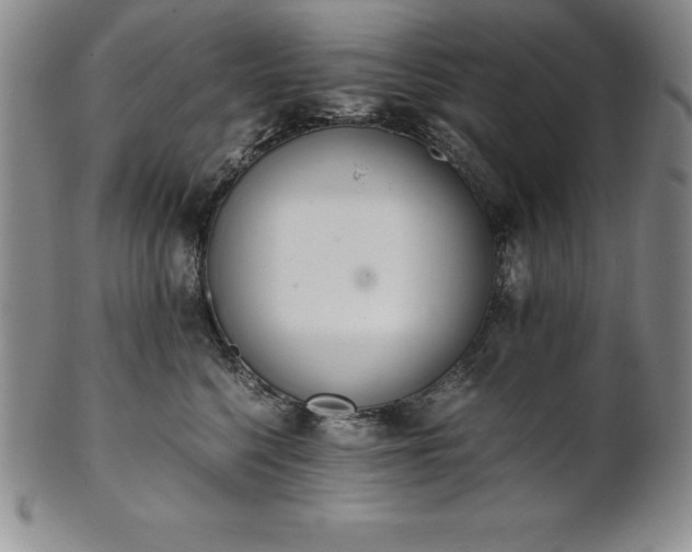 X0000101680568200807171414