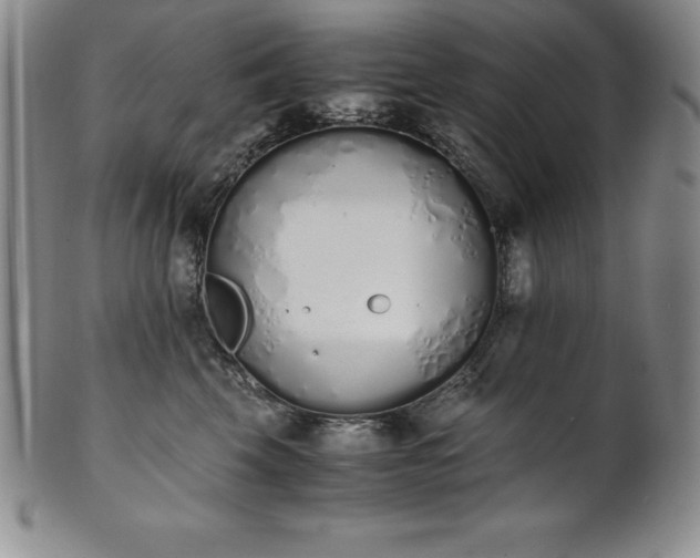 X0000101680569200807171414