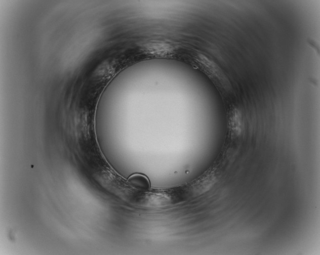 X0000101680572200807171414