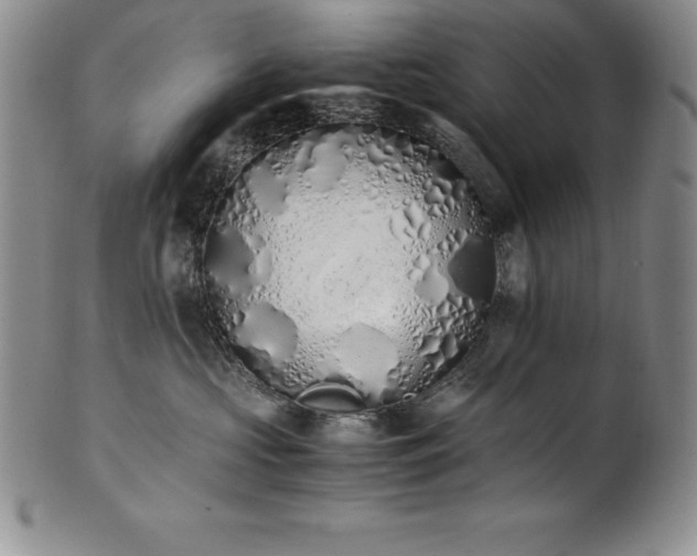 X0000101680573200807171414