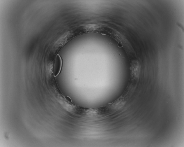 X0000101680574200807171414