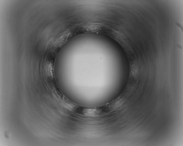 X0000101680575200807171414