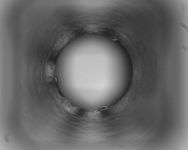 X0000101680576200807171414