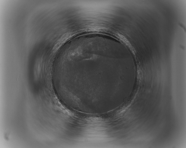 X0000101680577200807171414