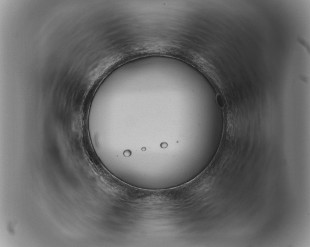 X0000101680578200807171414