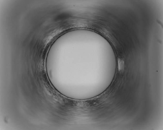 X0000101680579200807171414