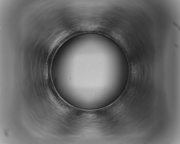 X0000101680582200807171414