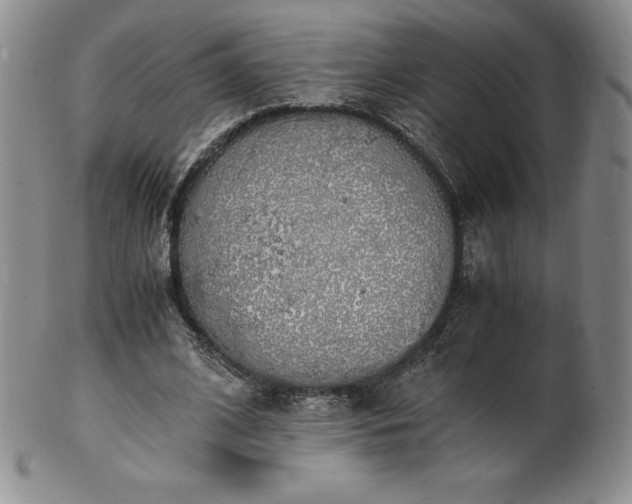 X0000101680584200807171413